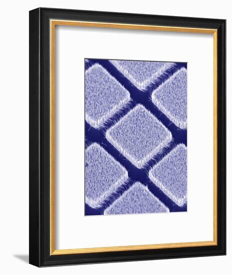 Gallium Nitride Nanowires, SEM-Peidong Yang-Framed Premium Photographic Print