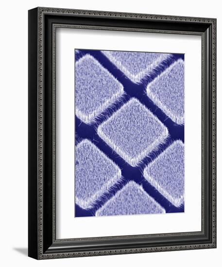 Gallium Nitride Nanowires, SEM-Peidong Yang-Framed Premium Photographic Print