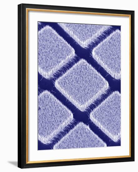 Gallium Nitride Nanowires, SEM-Peidong Yang-Framed Premium Photographic Print