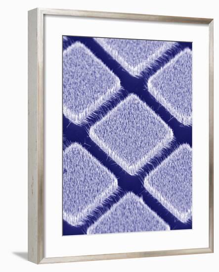 Gallium Nitride Nanowires, SEM-Peidong Yang-Framed Premium Photographic Print