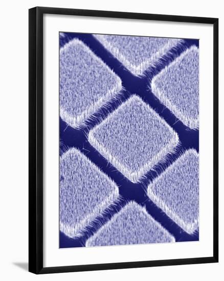Gallium Nitride Nanowires, SEM-Peidong Yang-Framed Photographic Print