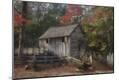 Photographic Print