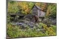Photographic Print