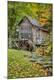 Premium Photographic Print