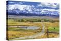Stretched Canvas Print