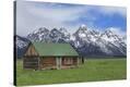 Stretched Canvas Print