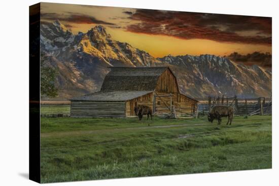 Stretched Canvas Print, , large