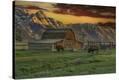 Stretched Canvas Print