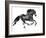 Gallop, 2015-Mark Adlington-Framed Giclee Print