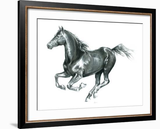 Gallop Black-Deborah Pearce-Framed Giclee Print