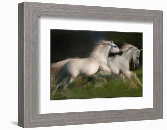 Gallop for Two-Milan Malovrh-Framed Photographic Print