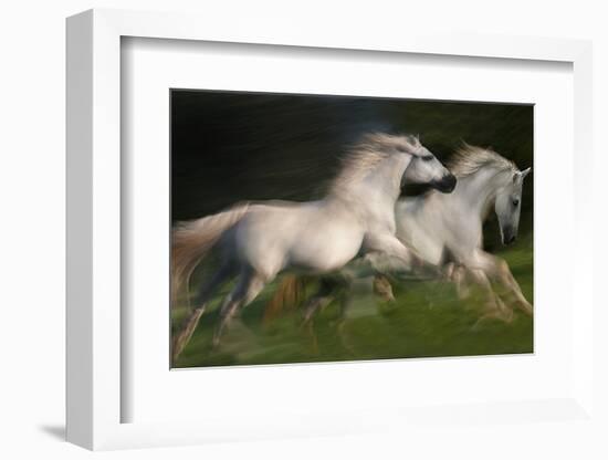 Gallop for Two-Milan Malovrh-Framed Photographic Print