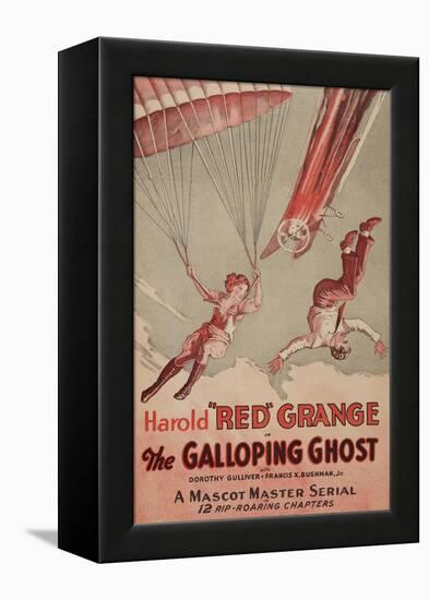 Galloping Ghost-null-Framed Stretched Canvas