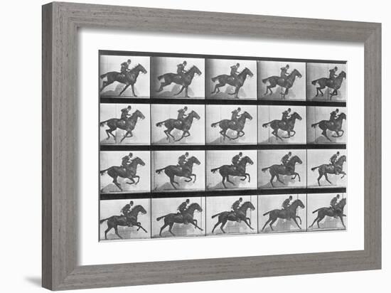 Galloping Horse, Plate 628 from Animal Locomotion, 1887-Eadweard Muybridge-Framed Giclee Print