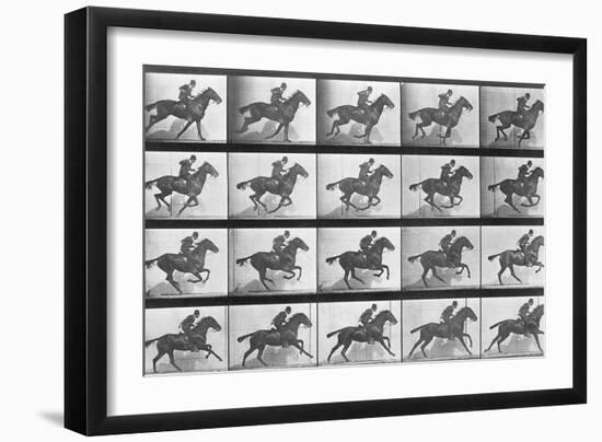 Galloping Horse, Plate 628 from Animal Locomotion, 1887-Eadweard Muybridge-Framed Giclee Print