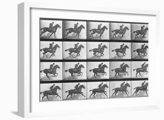 Galloping Horse, Plate 628 from Animal Locomotion, 1887-Eadweard Muybridge-Framed Giclee Print