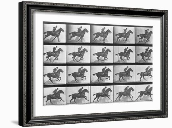 Galloping Horse, Plate 628 from Animal Locomotion, 1887-Eadweard Muybridge-Framed Giclee Print