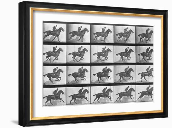 Galloping Horse, Plate 628 from Animal Locomotion, 1887-Eadweard Muybridge-Framed Giclee Print