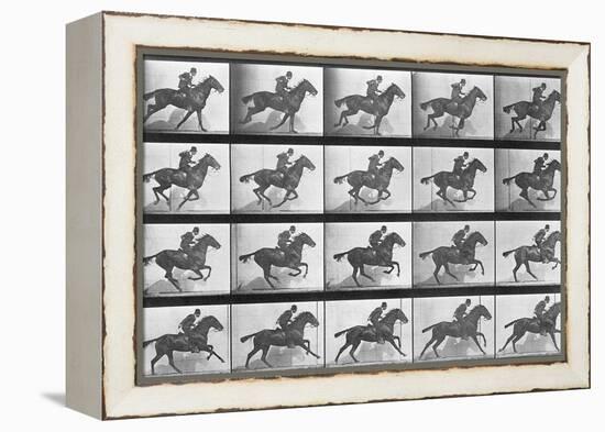 Galloping Horse, Plate 628 from Animal Locomotion, 1887-Eadweard Muybridge-Framed Premier Image Canvas