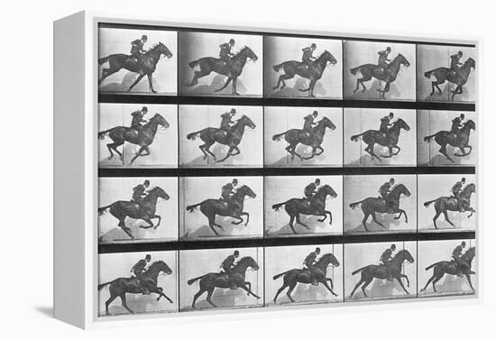 Galloping Horse, Plate 628 from Animal Locomotion, 1887-Eadweard Muybridge-Framed Premier Image Canvas