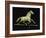 Galloping Horse Weathervane, Circa 1890-John Bachman-Framed Giclee Print