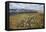 Galloway Hills from Rhinns of Kells, Dumfries and Galloway, Scotland, United Kingdom, Europe-Gary Cook-Framed Premier Image Canvas
