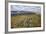 Galloway Hills from Rhinns of Kells, Dumfries and Galloway, Scotland, United Kingdom, Europe-Gary Cook-Framed Photographic Print