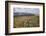 Galloway Hills from Rhinns of Kells, Dumfries and Galloway, Scotland, United Kingdom, Europe-Gary Cook-Framed Photographic Print