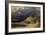 Gallows Hill under a thunderstorm (1835)-Karl Blechen-Framed Giclee Print