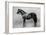 'Galopin, 1872-1899, (1911)-Unknown-Framed Giclee Print