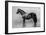 'Galopin, 1872-1899, (1911)-Unknown-Framed Giclee Print