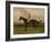 Galopin with Jockey Up, 1875-Harry Hall-Framed Giclee Print