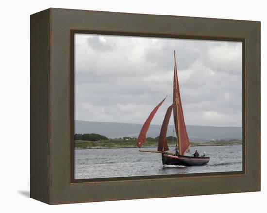 Galway Hookers at Roundstone Regatta, Connemara, County Galway, Connacht, Republic of Ireland-Gary Cook-Framed Premier Image Canvas