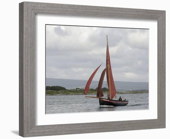 Galway Hookers at Roundstone Regatta, Connemara, County Galway, Connacht, Republic of Ireland-Gary Cook-Framed Photographic Print