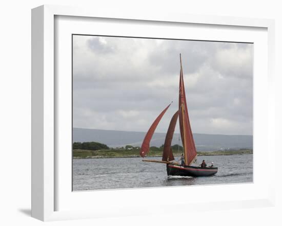 Galway Hookers at Roundstone Regatta, Connemara, County Galway, Connacht, Republic of Ireland-Gary Cook-Framed Photographic Print