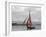 Galway Hookers at Roundstone Regatta, Connemara, County Galway, Connacht, Republic of Ireland-Gary Cook-Framed Photographic Print