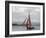 Galway Hookers at Roundstone Regatta, Connemara, County Galway, Connacht, Republic of Ireland-Gary Cook-Framed Photographic Print