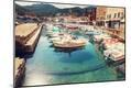 Photographic Print
