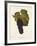 Gamay Freaux Grape-J. Troncy-Framed Giclee Print