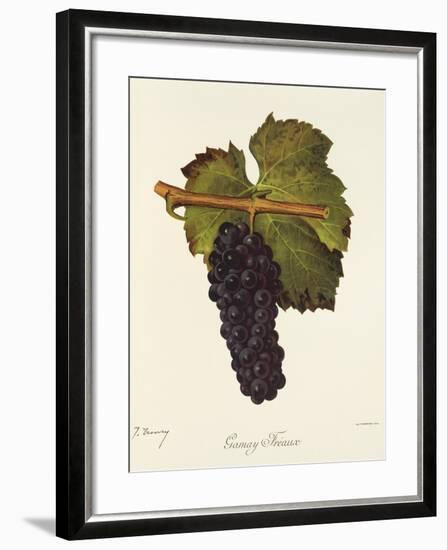 Gamay Freaux Grape-J. Troncy-Framed Giclee Print