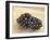 Gamay Grapes at Georges Duboeuf Winery, Romaneche-Thorins, Beaujolais, Bourgogne, France-Per Karlsson-Framed Photographic Print