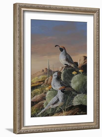 Gambel Trio-Trevor V. Swanson-Framed Giclee Print