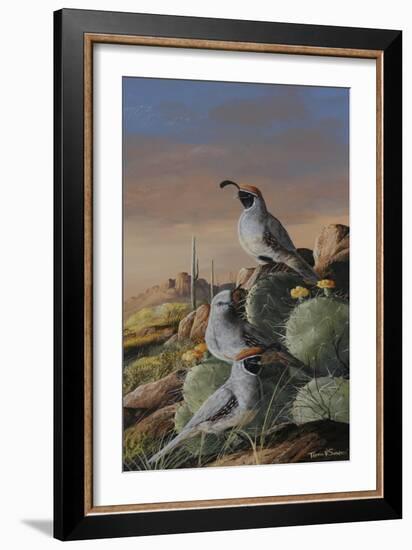 Gambel Trio-Trevor V. Swanson-Framed Giclee Print