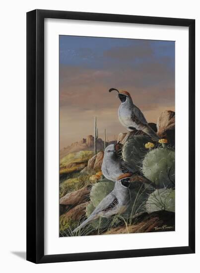 Gambel Trio-Trevor V. Swanson-Framed Giclee Print