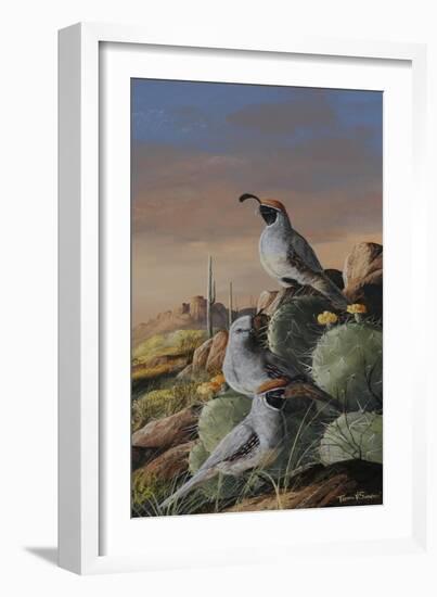 Gambel Trio-Trevor V. Swanson-Framed Giclee Print