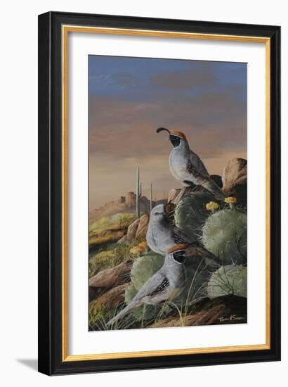 Gambel Trio-Trevor V. Swanson-Framed Giclee Print