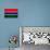 Gambia Flag Design with Wood Patterning - Flags of the World Series-Philippe Hugonnard-Art Print displayed on a wall