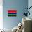 Gambia Flag Design with Wood Patterning - Flags of the World Series-Philippe Hugonnard-Premium Giclee Print displayed on a wall