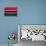 Gambia Flag Design with Wood Patterning - Flags of the World Series-Philippe Hugonnard-Framed Stretched Canvas displayed on a wall
