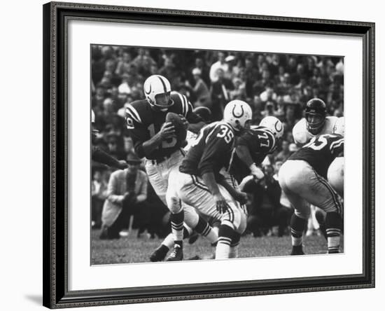 Game Between the Baltimore Colts Vs. the Chicago Bears-George Silk-Framed Premium Photographic Print